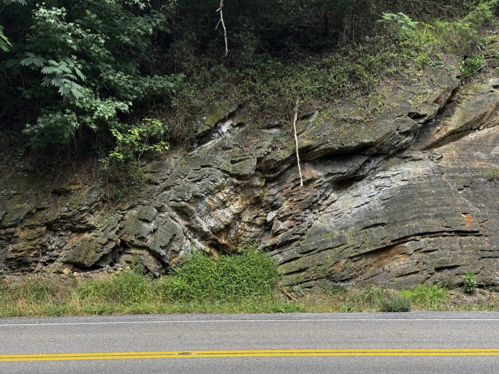 Folded and layered roadside rock exposure in Great Smoky Mountains National Park