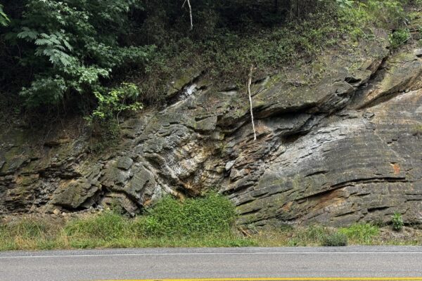 Folded and layered roadside rock exposure in Great Smoky Mountains National Park