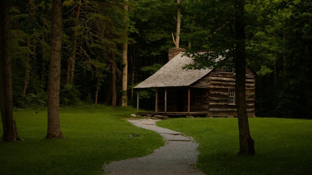 Carter Shields Cabin in Cades Cove Historic Carter Shields Cabin standing in a grassy clearing at Cades Cove in Great Smoky Mountains National Park