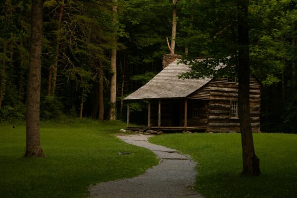 Historic Carter Shields Cabin standing in a grassy clearing at Cades Cove in Great Smoky Mountains National Park