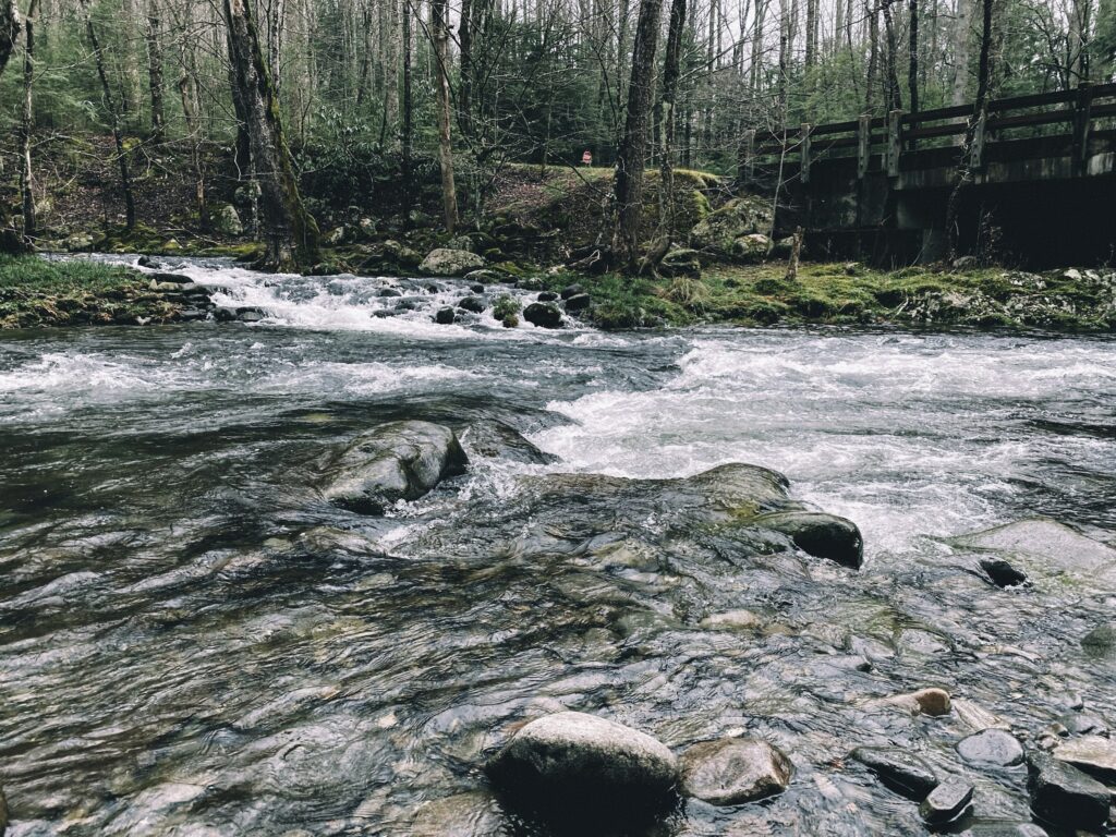 Forest river flowing past mossy rocks near Elkmont in Great Smoky Mountains National Park
