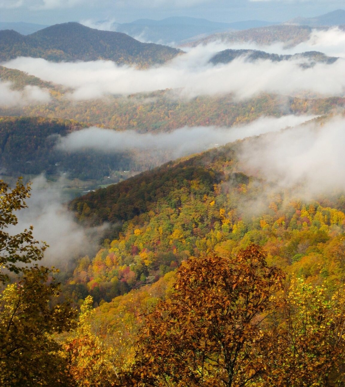 Colorful autumn leaves and clouds over Great Smoky Mountains ridges
