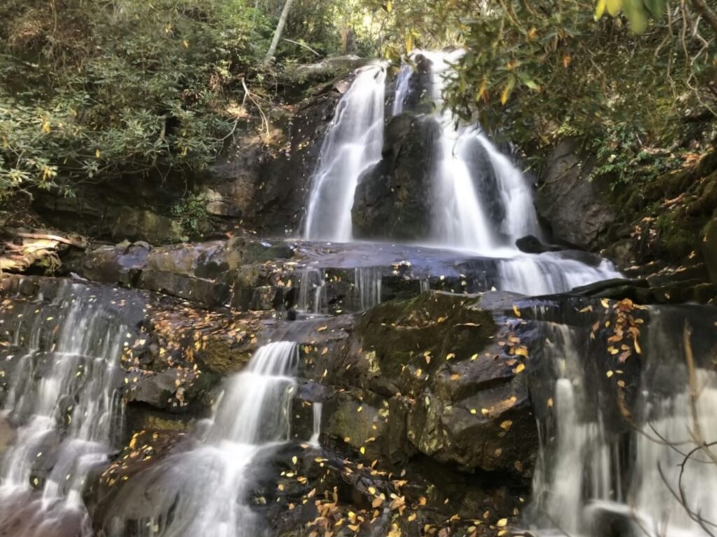 Laurel Falls cascading through forest and rock in Great Smoky Mountains National Park